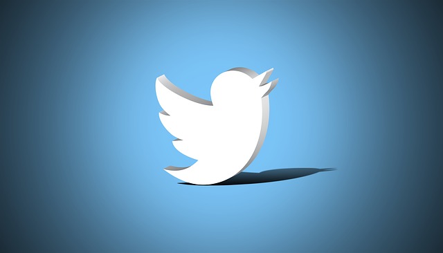 Twitter'a Hikaye Özelliği Ne Zaman Geliyor?